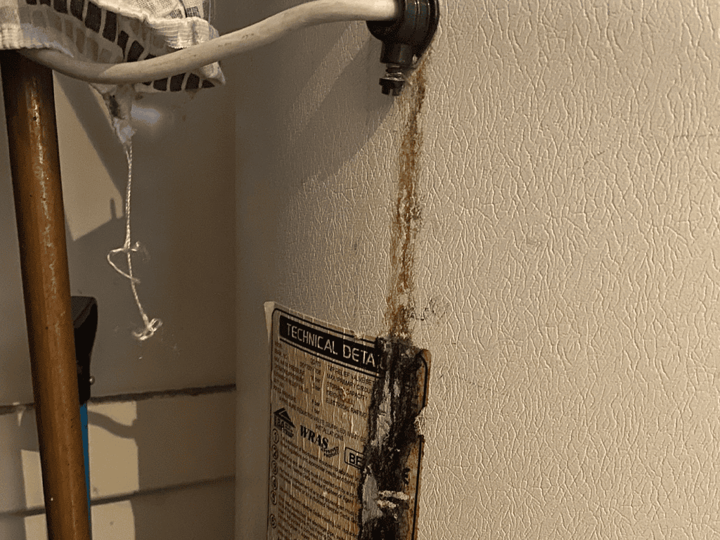 Noticing You Have A Water Leak