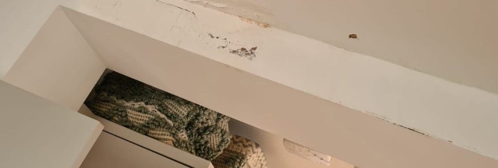 Ceiling Leaks | Leak Detection 247