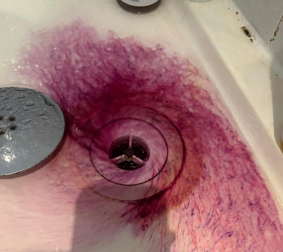 Shower Leak Detection Canary Wharf Red Dye Test