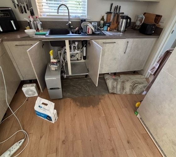 Kitchen Waste Leak Chelsea
