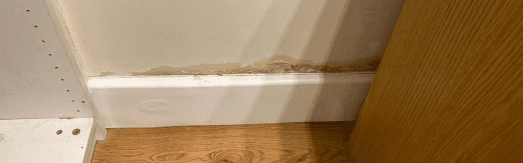 Rising Damp | Leak Detection 247