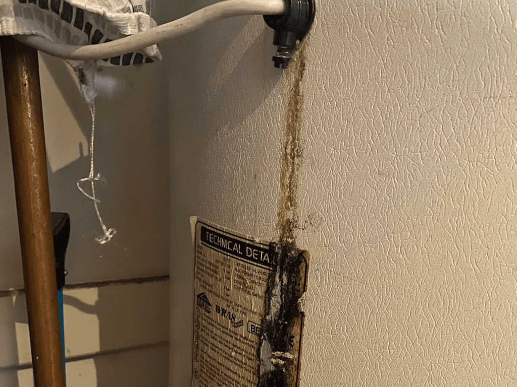 Noticing You Have A Water Leak