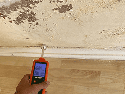 Moisture Meter Leak Detection | Leak Detection 24/7