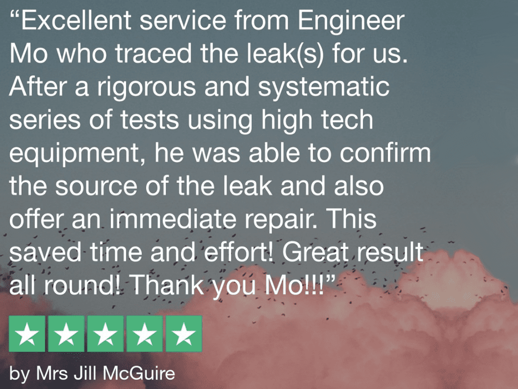 Customer Review After Fixing A Leak