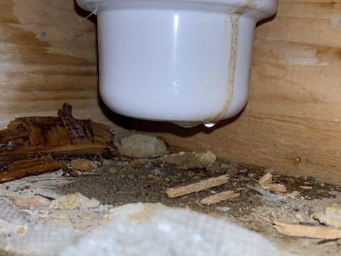 Waste Leak Detection | Leak Detection 24/7
